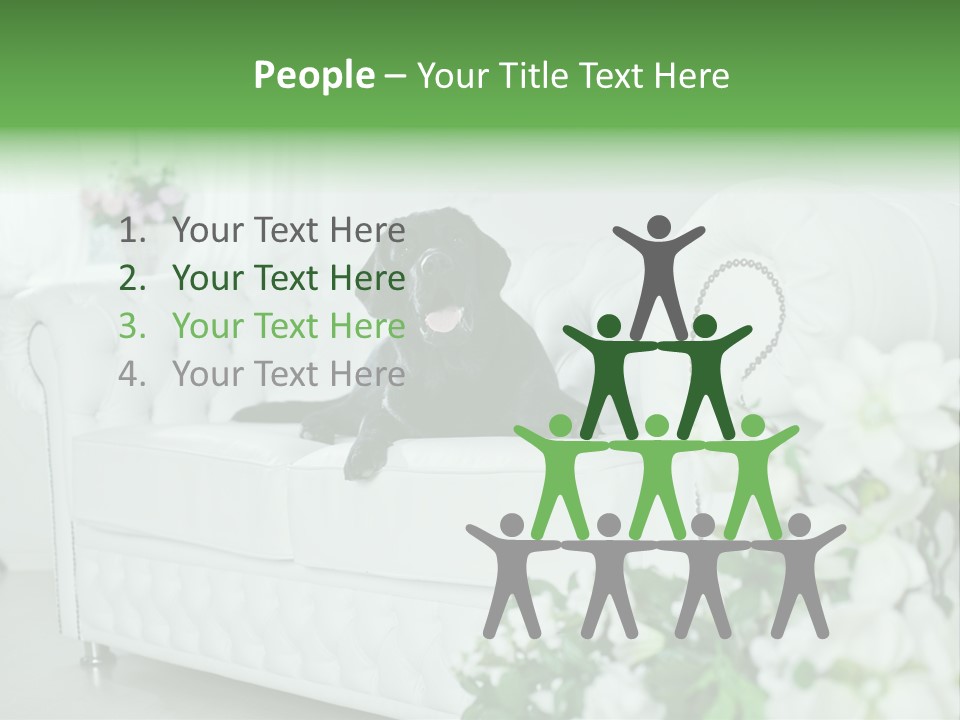 A Black Dog Is Sitting On A White Couch PowerPoint Template