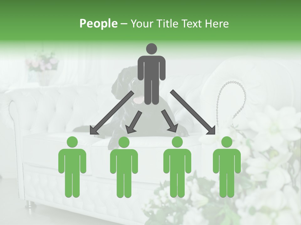 A Black Dog Is Sitting On A White Couch PowerPoint Template