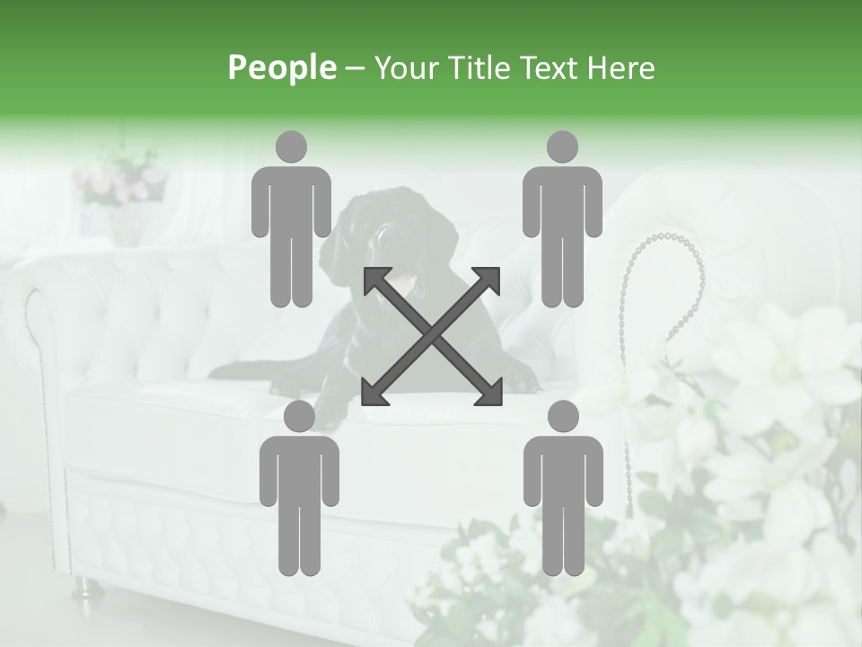 A Black Dog Is Sitting On A White Couch PowerPoint Template