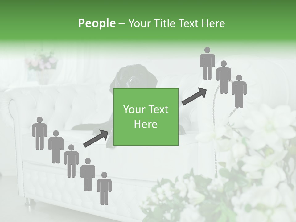 A Black Dog Is Sitting On A White Couch PowerPoint Template