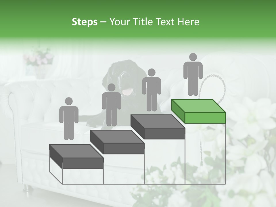 A Black Dog Is Sitting On A White Couch PowerPoint Template