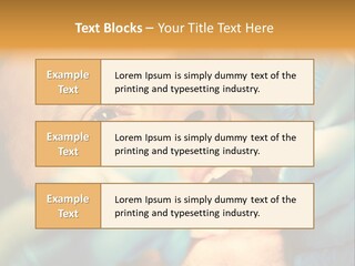 Surgical Glove Medicine Contemporary PowerPoint Template