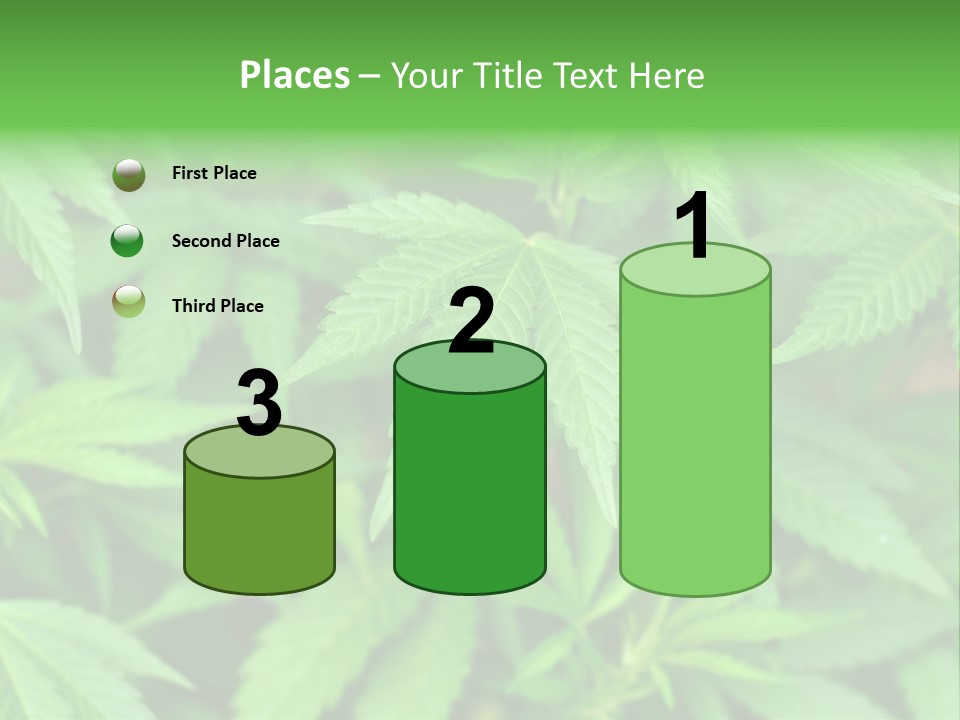 Culture Green Indicate PowerPoint Template