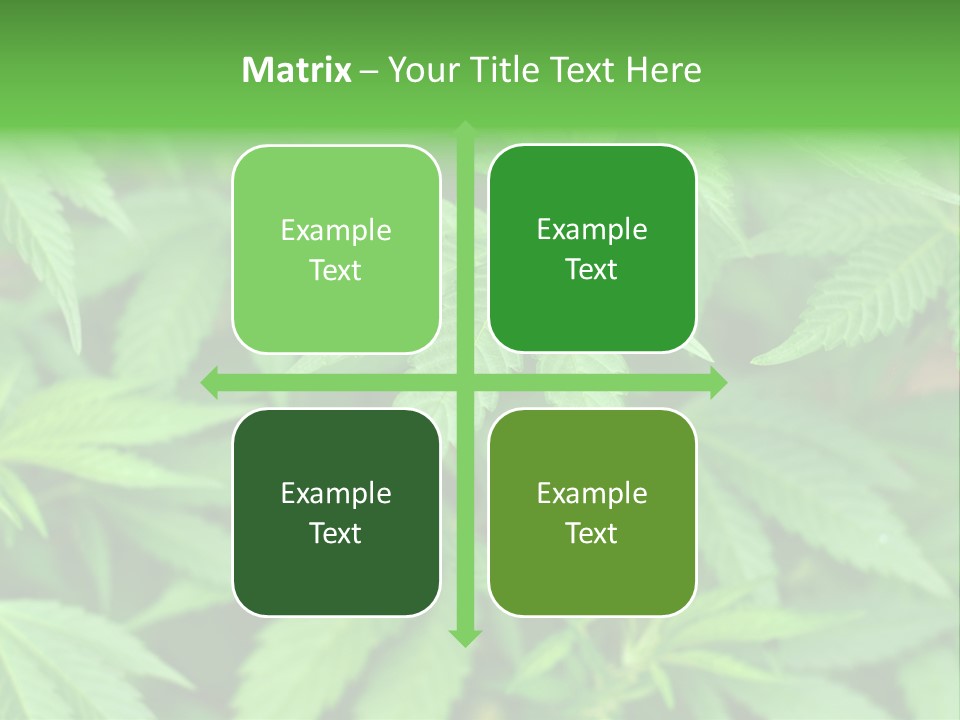 Culture Green Indicate PowerPoint Template