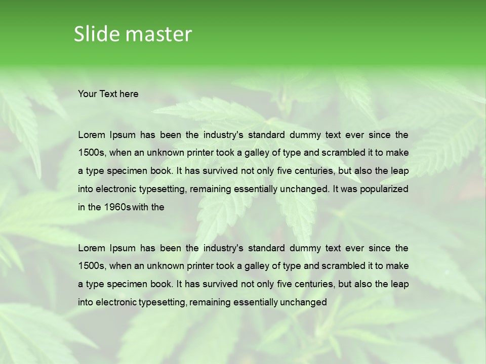 Culture Green Indicate PowerPoint Template