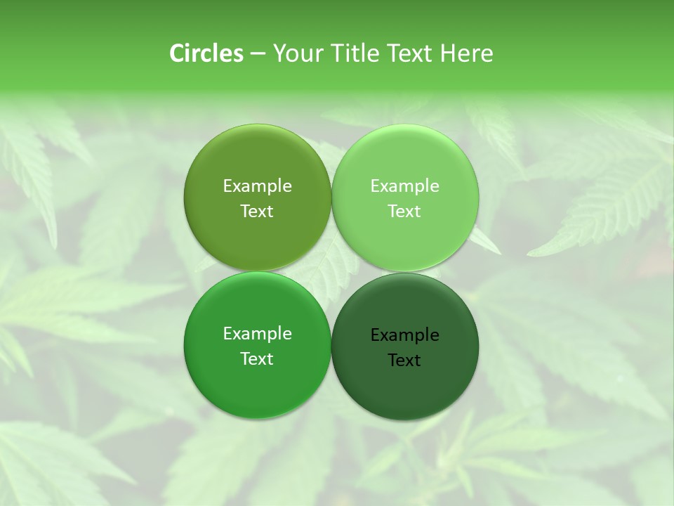 Culture Green Indicate PowerPoint Template