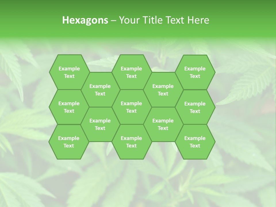 Culture Green Indicate PowerPoint Template