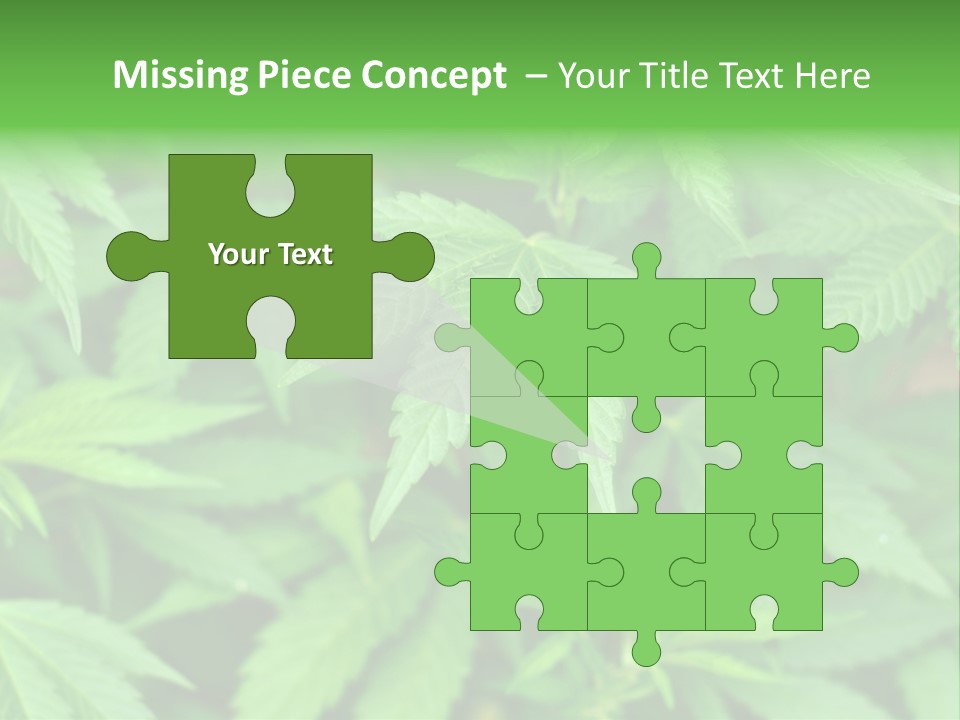 Culture Green Indicate PowerPoint Template