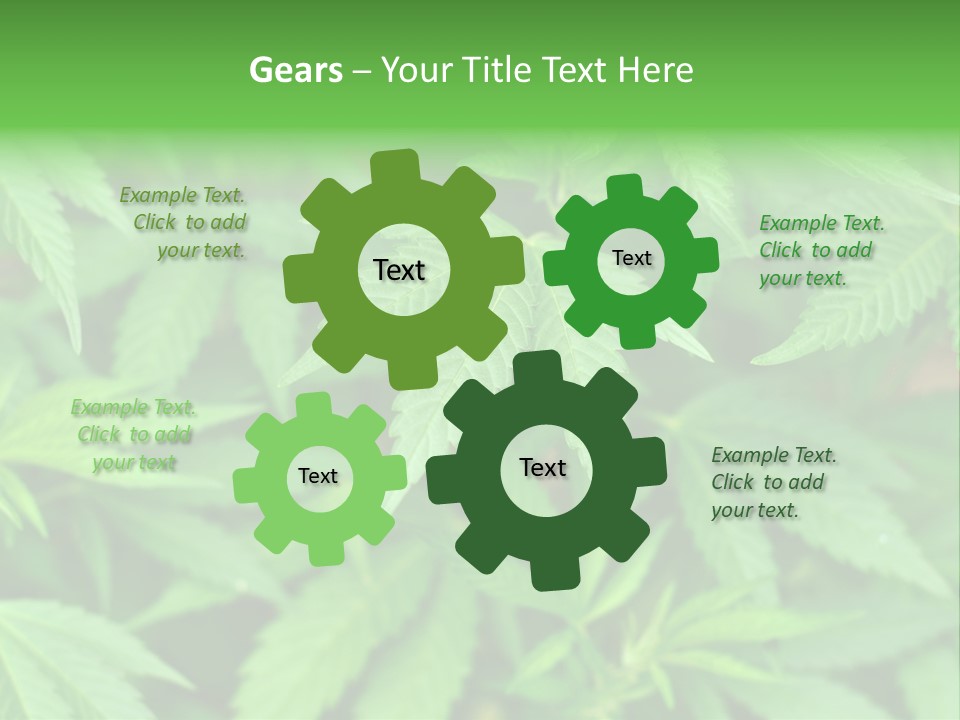 Culture Green Indicate PowerPoint Template