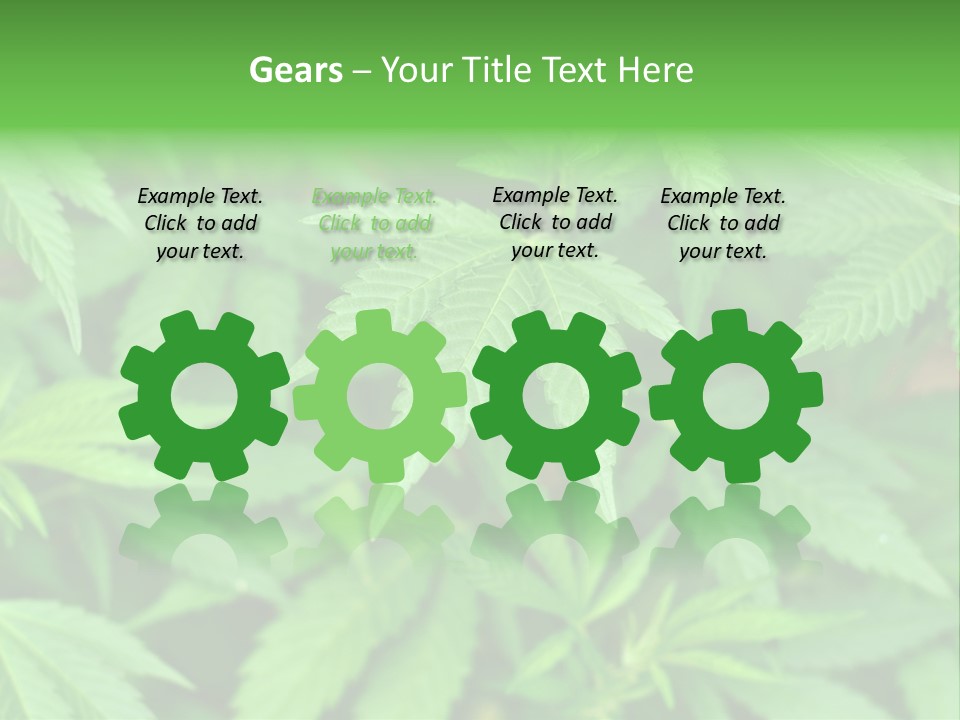 Culture Green Indicate PowerPoint Template