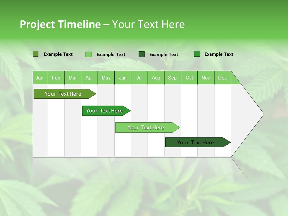 Culture Green Indicate PowerPoint Template