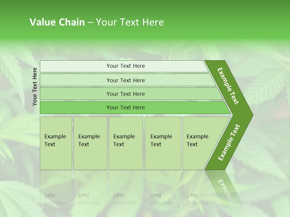 Culture Green Indicate PowerPoint Template
