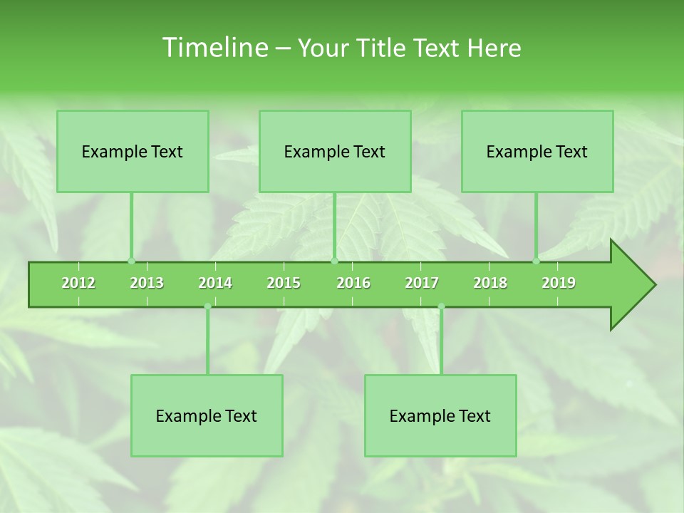 Culture Green Indicate PowerPoint Template