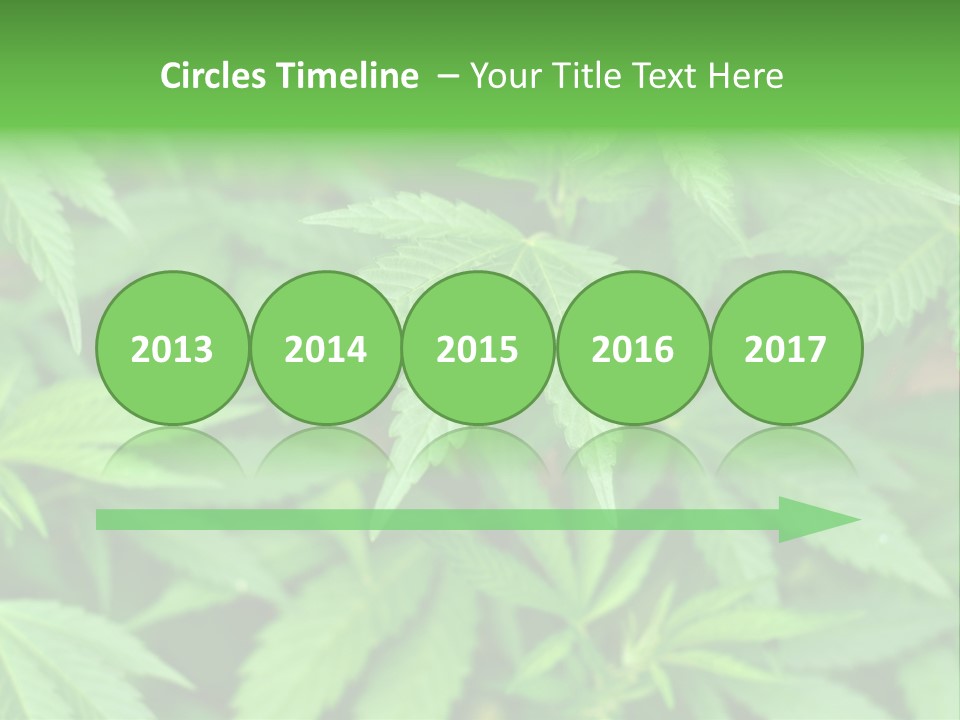 Culture Green Indicate PowerPoint Template