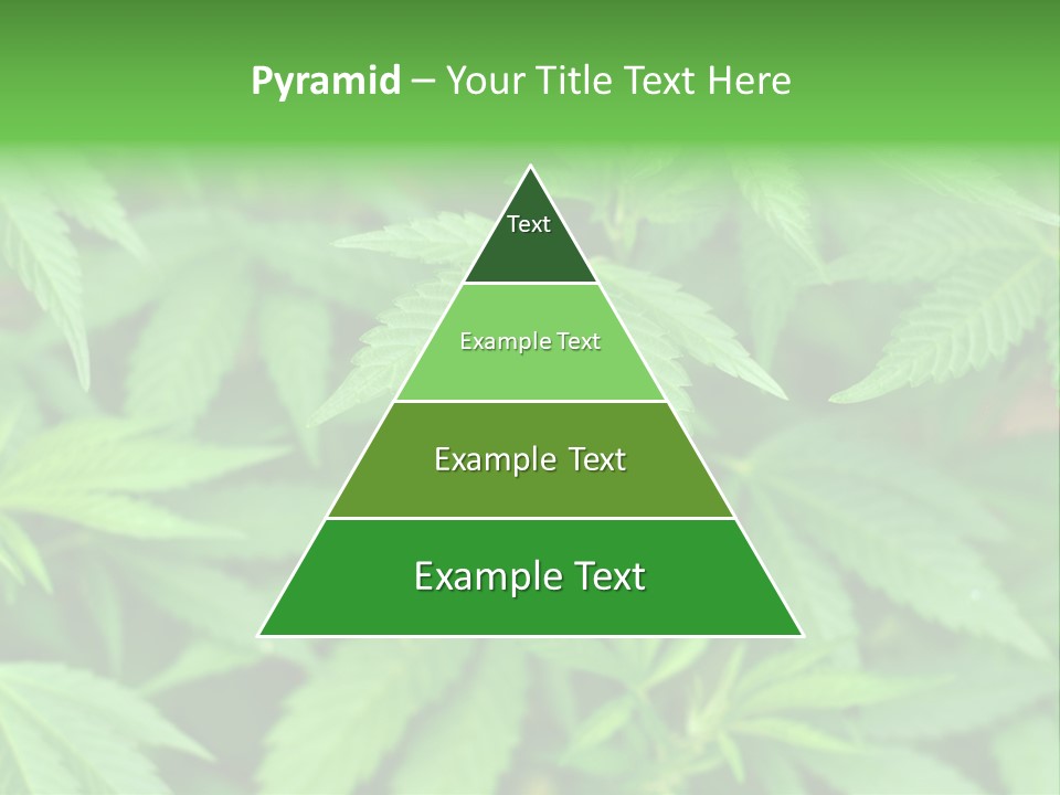 Culture Green Indicate PowerPoint Template