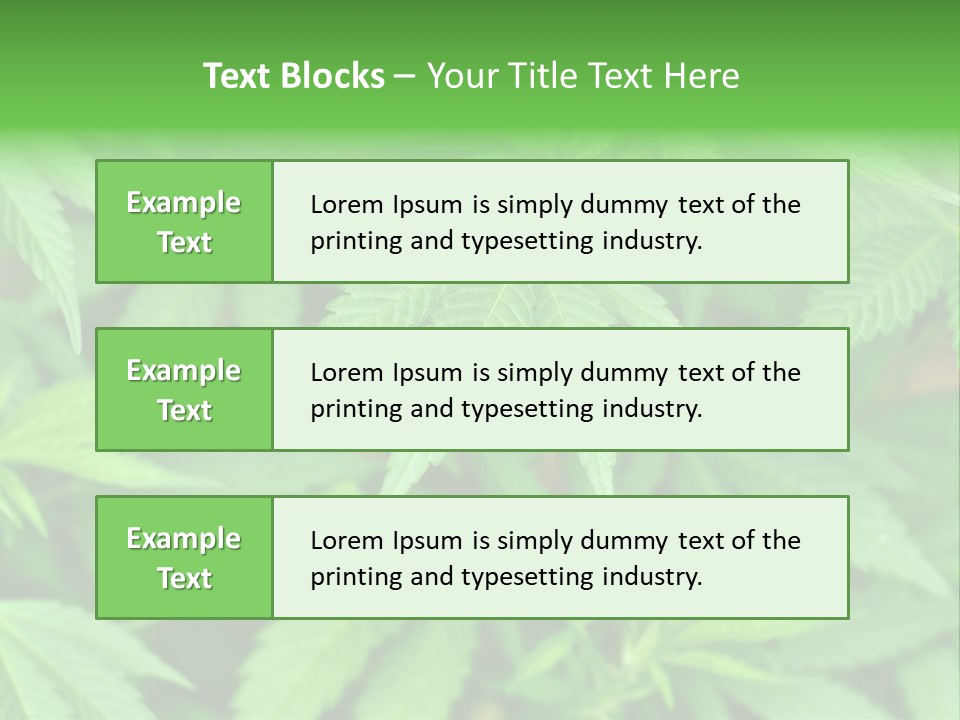 Culture Green Indicate PowerPoint Template