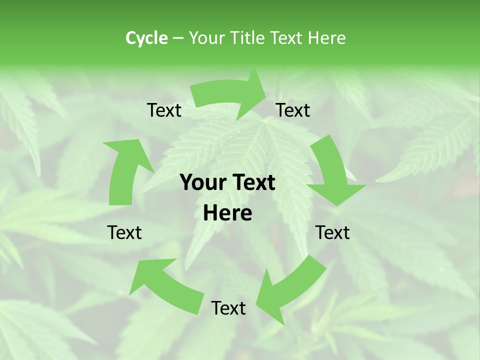 Culture Green Indicate PowerPoint Template