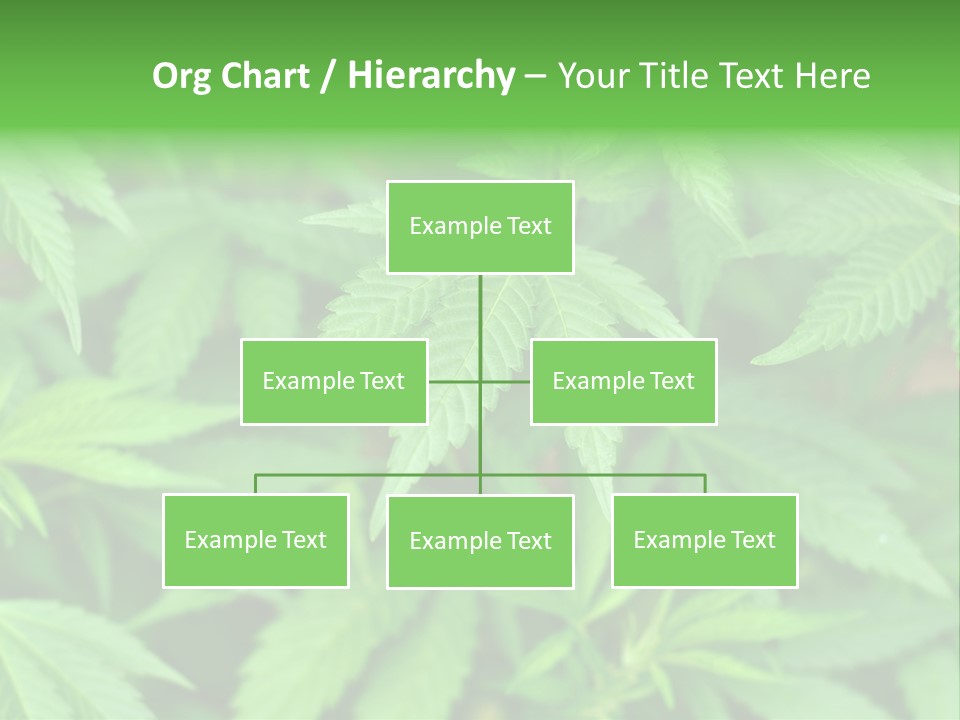 Culture Green Indicate PowerPoint Template