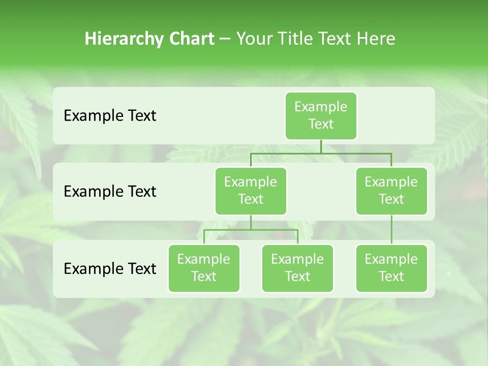 Culture Green Indicate PowerPoint Template