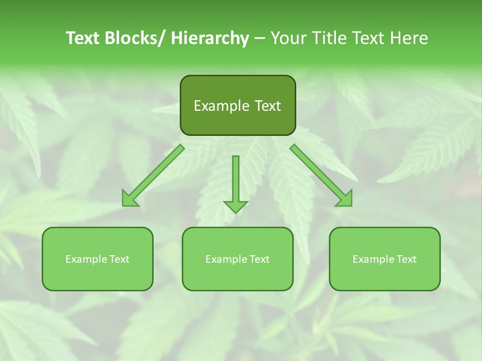 Culture Green Indicate PowerPoint Template