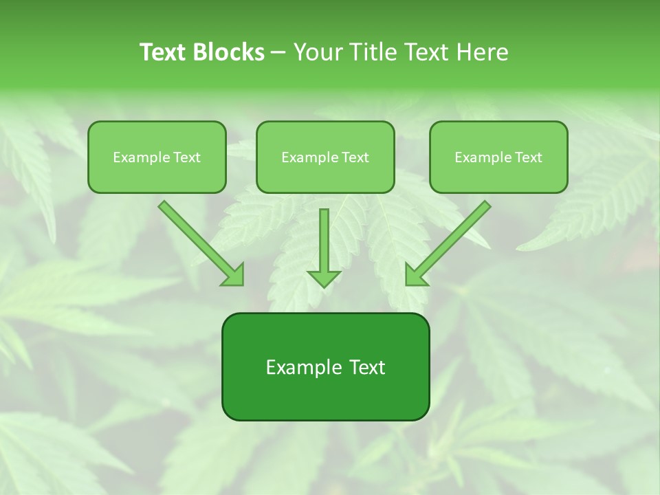 Culture Green Indicate PowerPoint Template
