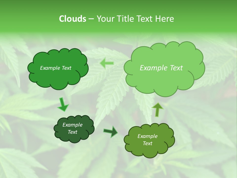 Culture Green Indicate PowerPoint Template