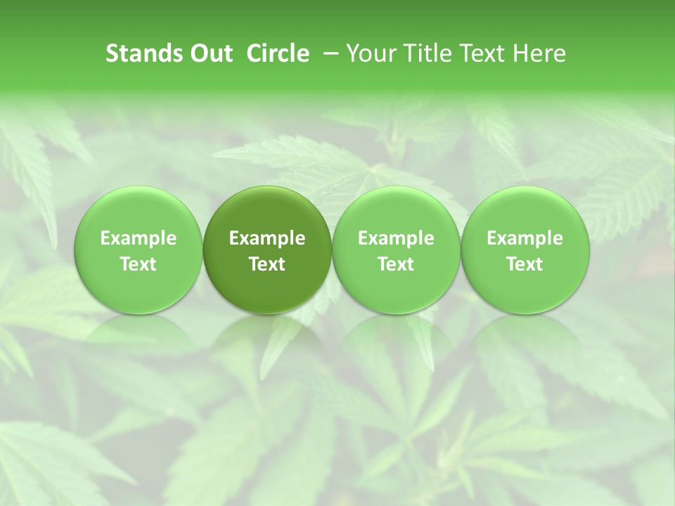 Culture Green Indicate PowerPoint Template