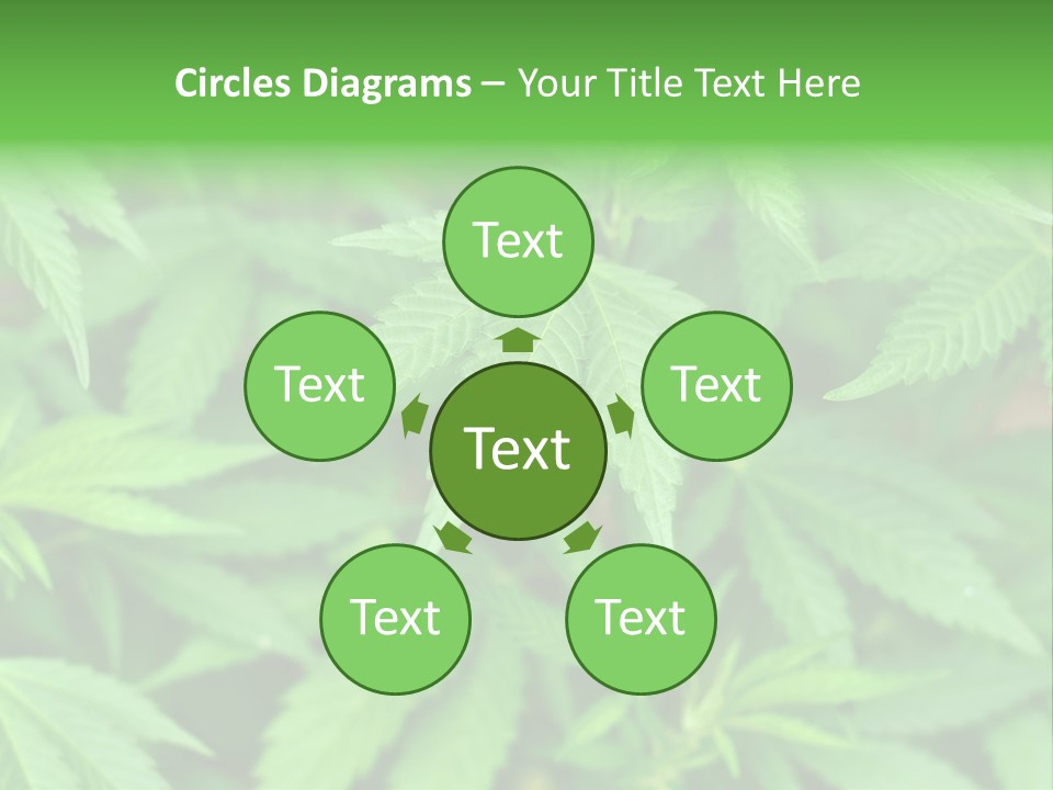 Culture Green Indicate PowerPoint Template