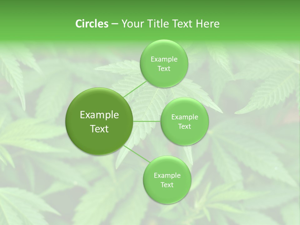 Culture Green Indicate PowerPoint Template