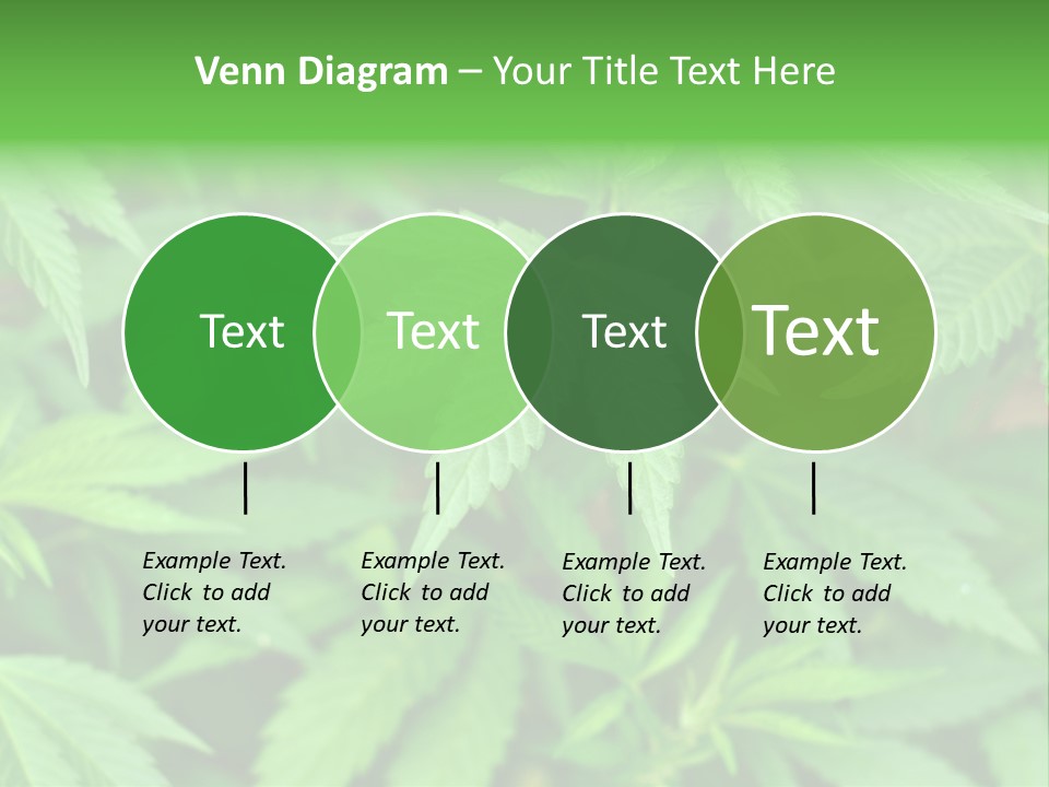 Culture Green Indicate PowerPoint Template