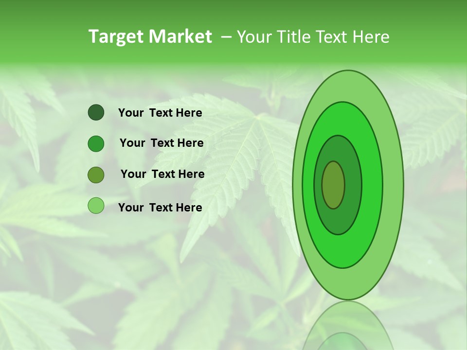 Culture Green Indicate PowerPoint Template