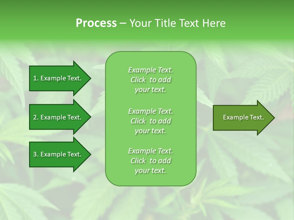 Culture Green Indicate PowerPoint Template
