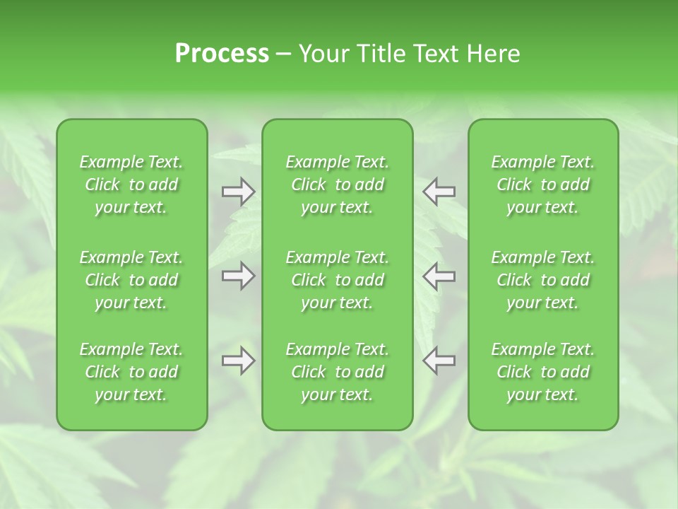 Culture Green Indicate PowerPoint Template