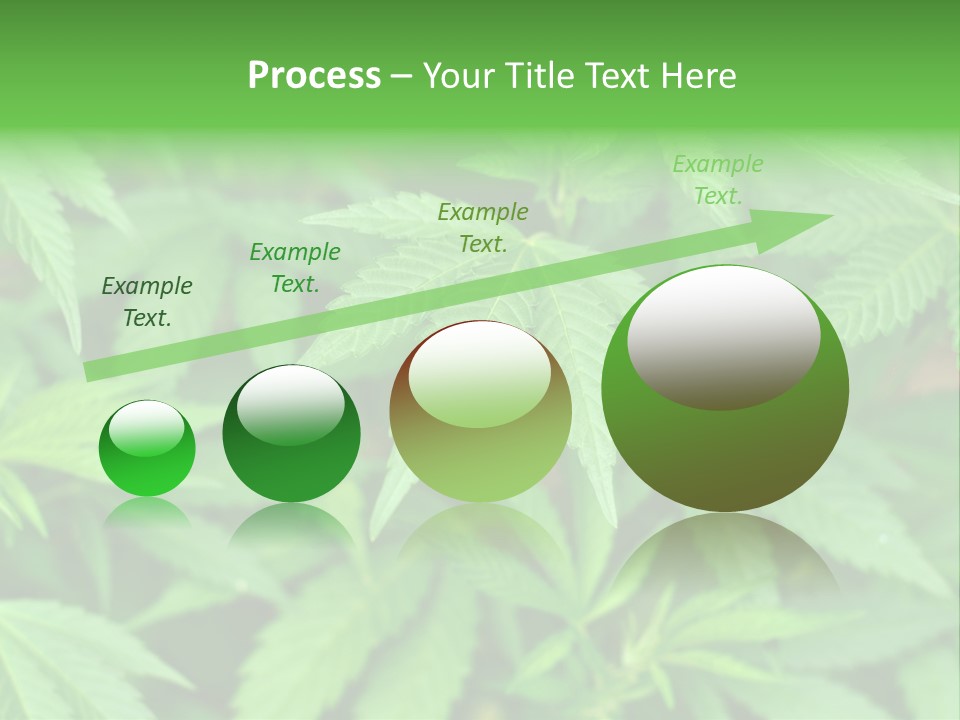 Culture Green Indicate PowerPoint Template