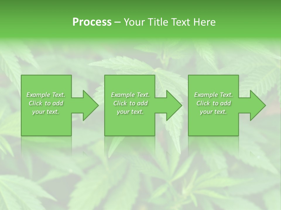 Culture Green Indicate PowerPoint Template
