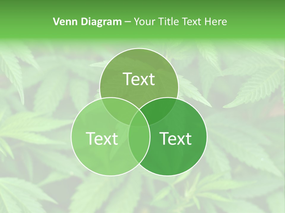 Culture Green Indicate PowerPoint Template