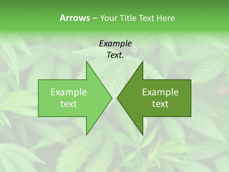 Culture Green Indicate PowerPoint Template