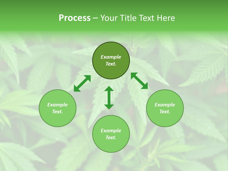 Culture Green Indicate PowerPoint Template