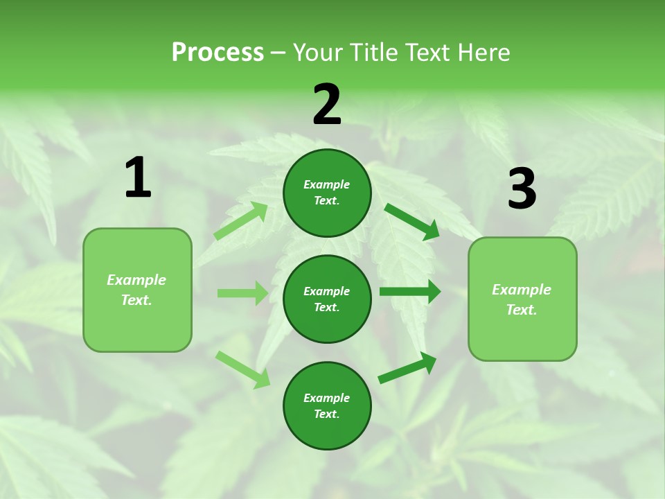 Culture Green Indicate PowerPoint Template