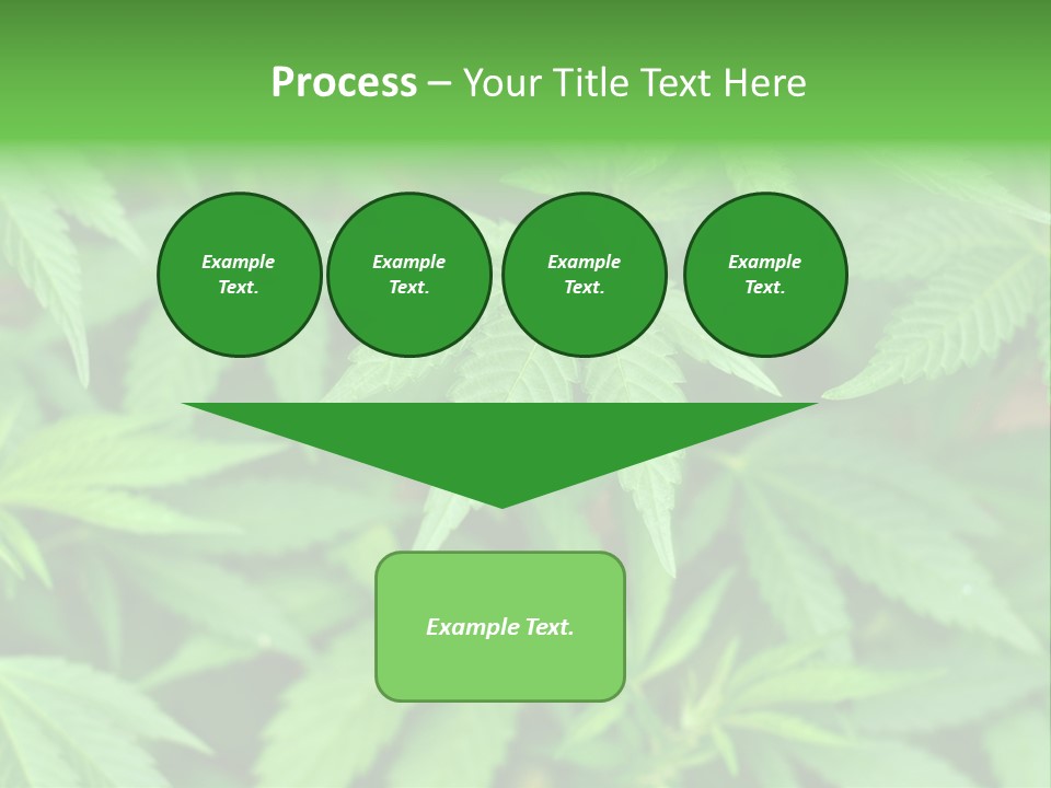 Culture Green Indicate PowerPoint Template