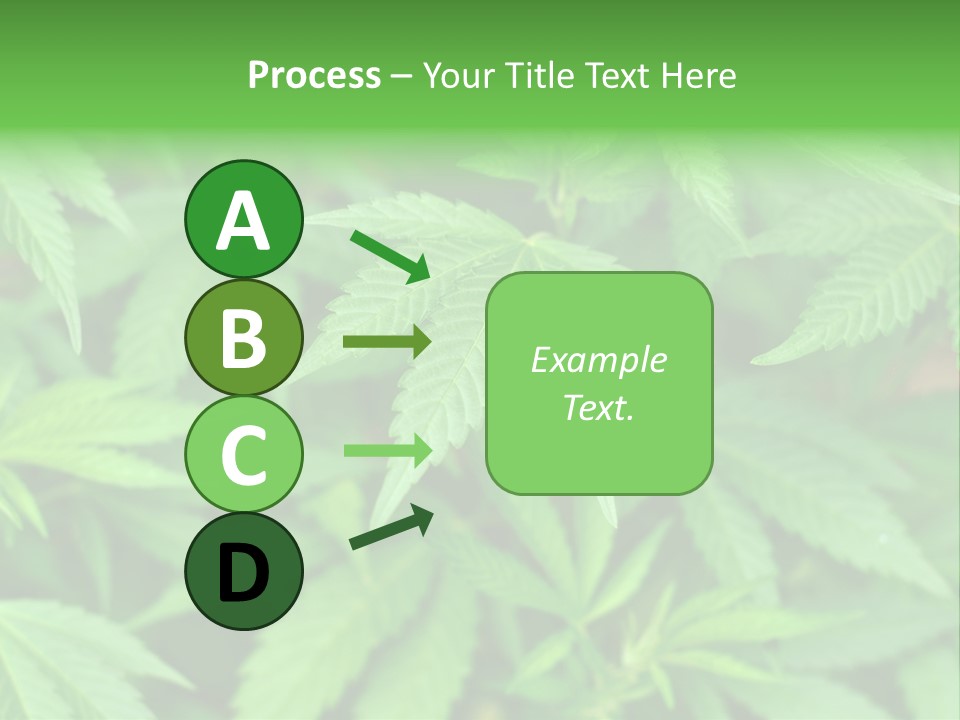 Culture Green Indicate PowerPoint Template
