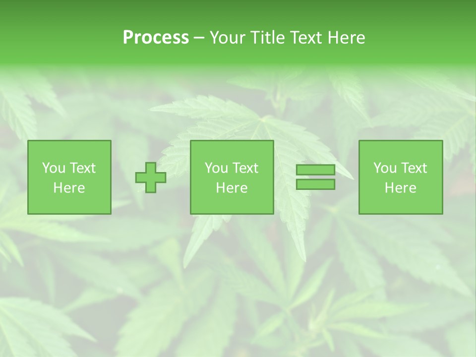 Culture Green Indicate PowerPoint Template