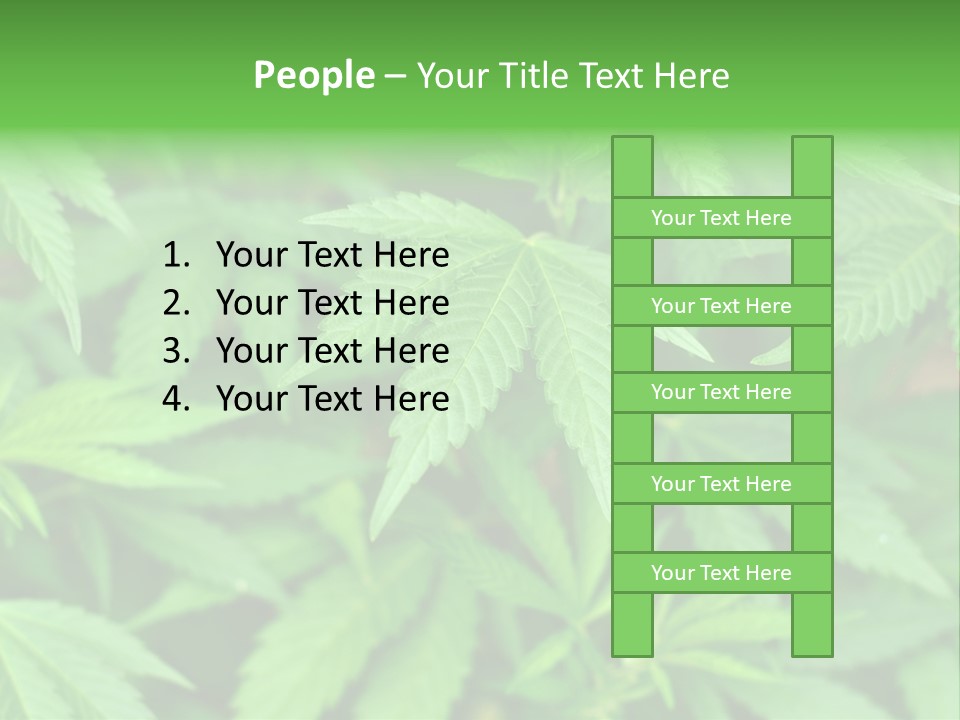 Culture Green Indicate PowerPoint Template