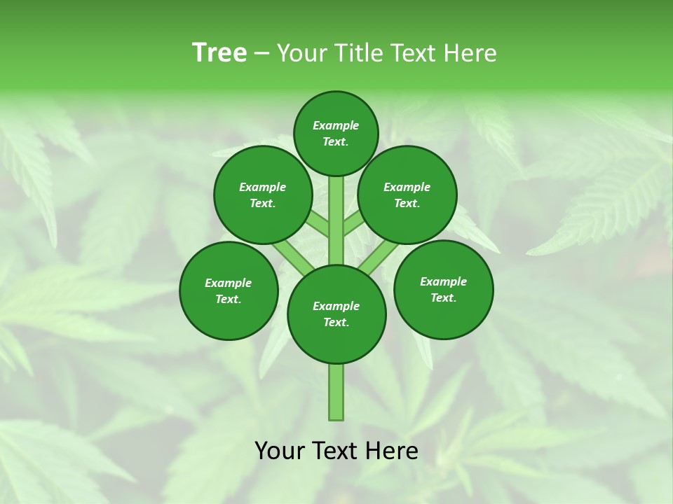 Culture Green Indicate PowerPoint Template