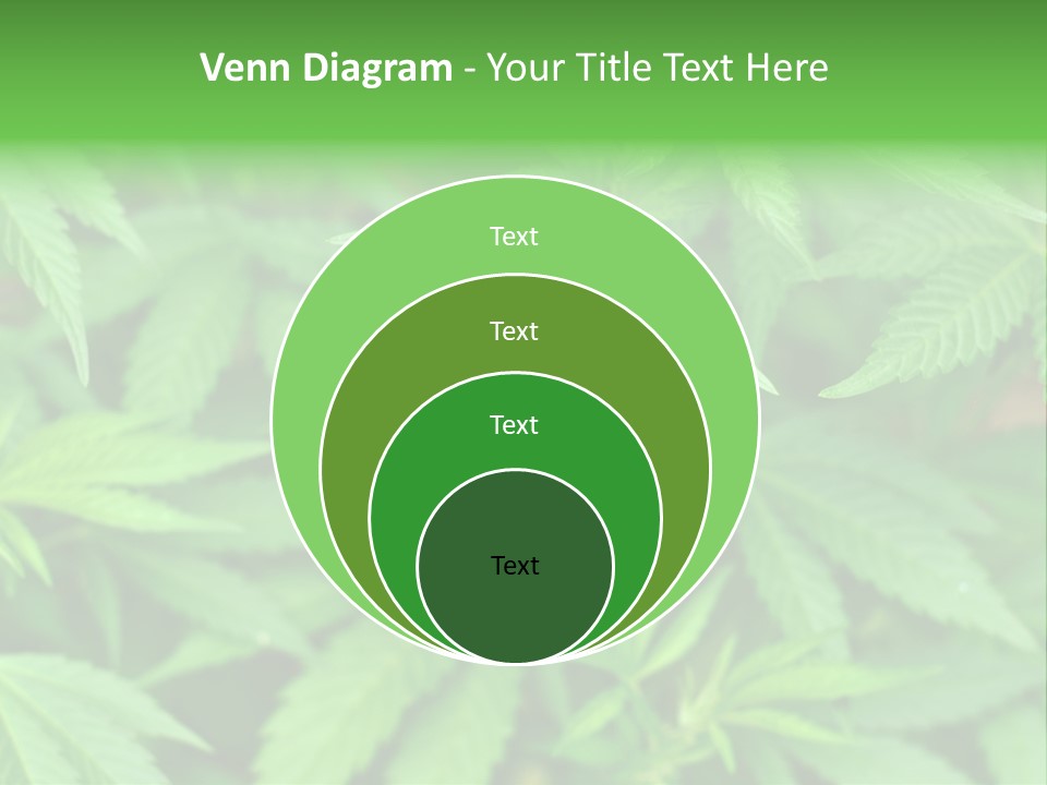 Culture Green Indicate PowerPoint Template