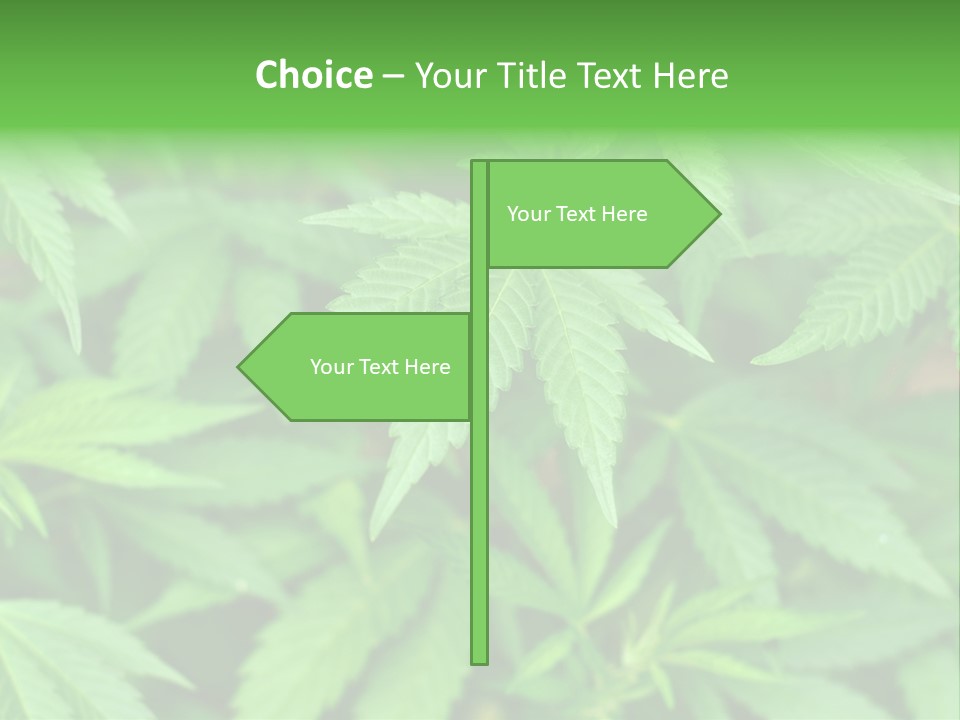 Culture Green Indicate PowerPoint Template