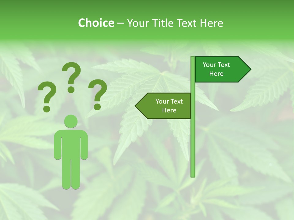 Culture Green Indicate PowerPoint Template