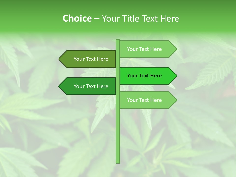 Culture Green Indicate PowerPoint Template