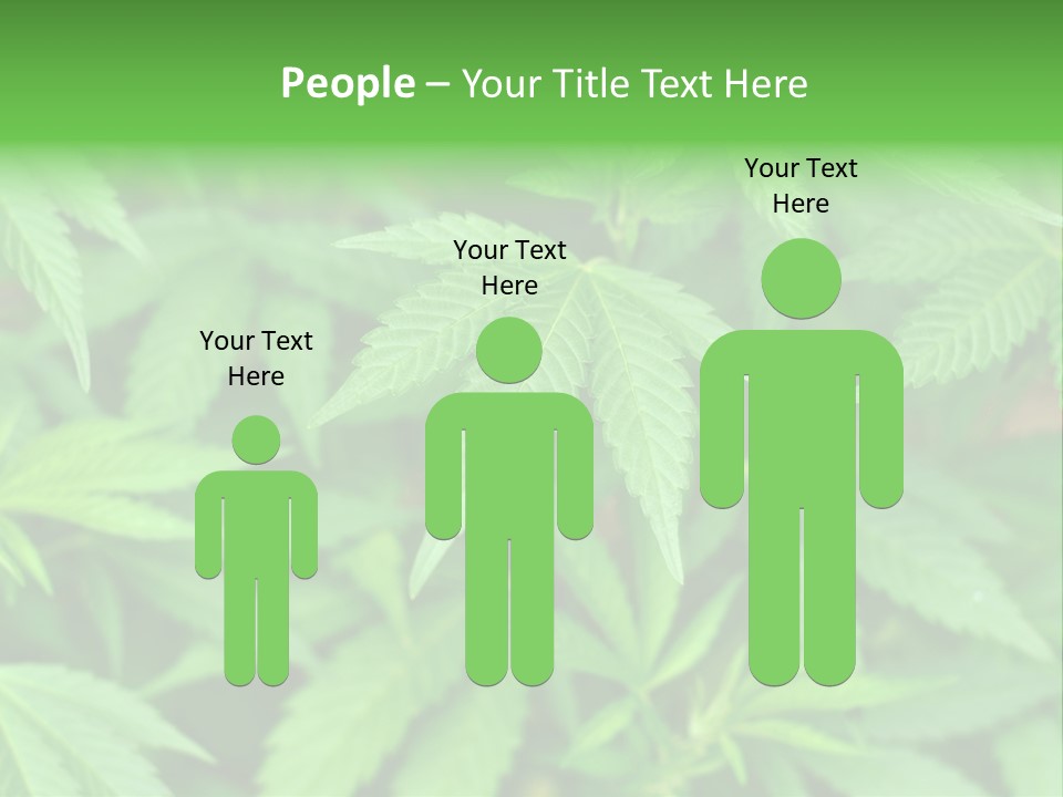 Culture Green Indicate PowerPoint Template