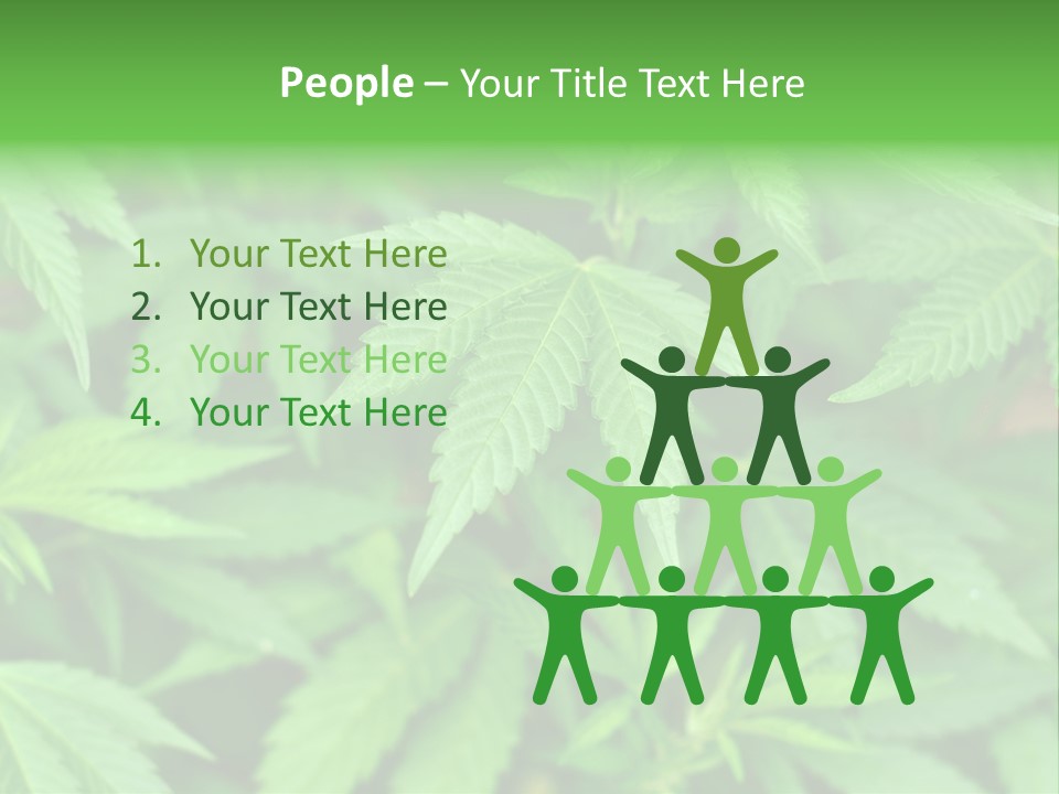 Culture Green Indicate PowerPoint Template